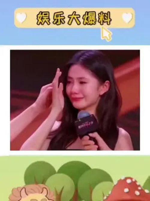 娱乐圈吃瓜评论,揭秘明星背后的故事与真相