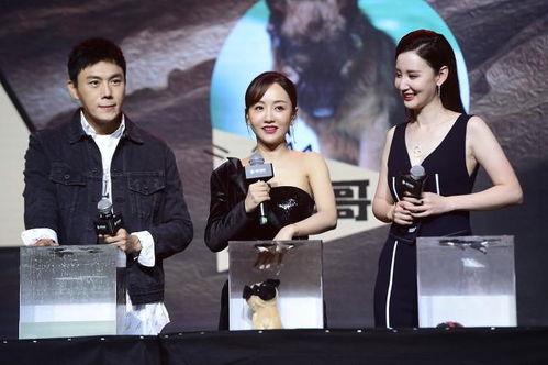 近期吃瓜汇总非娱乐圈,近期热门非娱乐圈事件大盘点