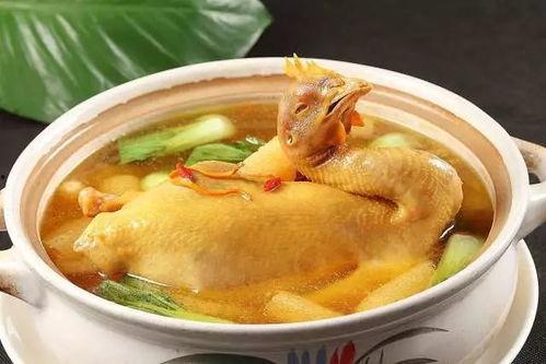 娱乐吃瓜酱鸡汤